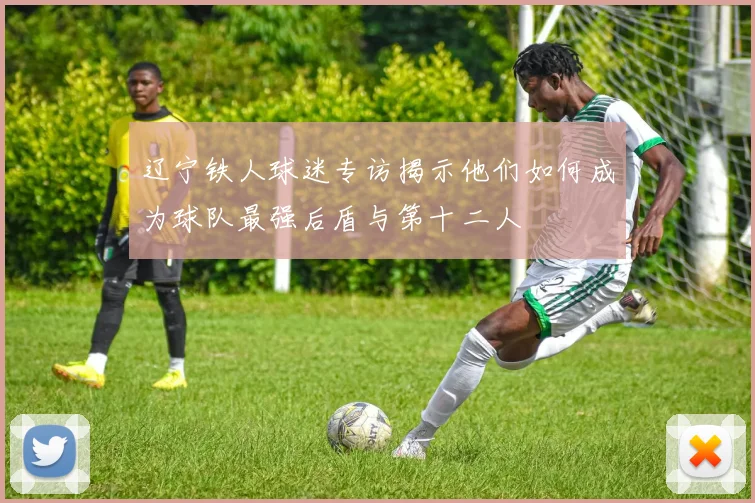 辽宁铁人球迷专访揭示他们如何成为球队最强后盾与第十二人