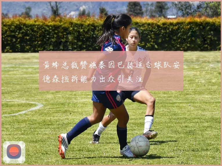 黄蜂总裁赞施泰因巴赫适合球队安德森挡拆能力出众引关注