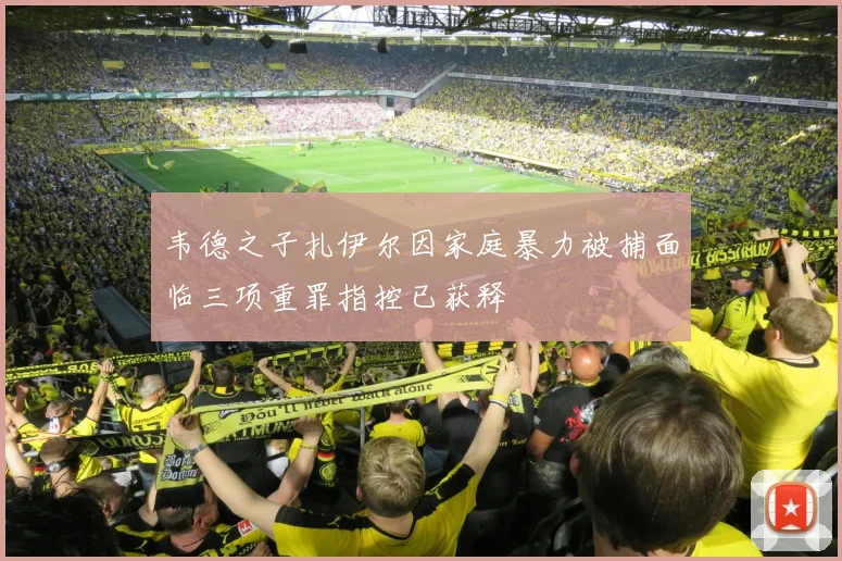 韦德之子扎伊尔因家庭暴力被捕面临三项重罪指控已获释