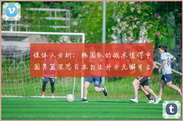 媒体人分析：韩国队的战术值得中国男篮深思日本打法并非无懈可击