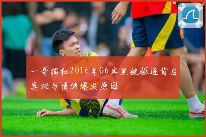 一哥揭秘2016年G6库里被驱逐背后真相与情绪爆发原因